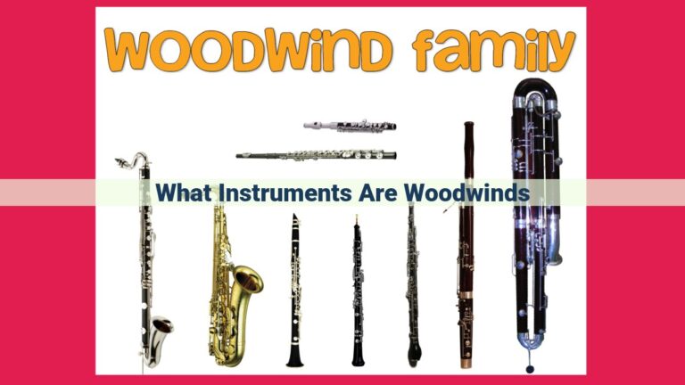 what instruments are woodwinds