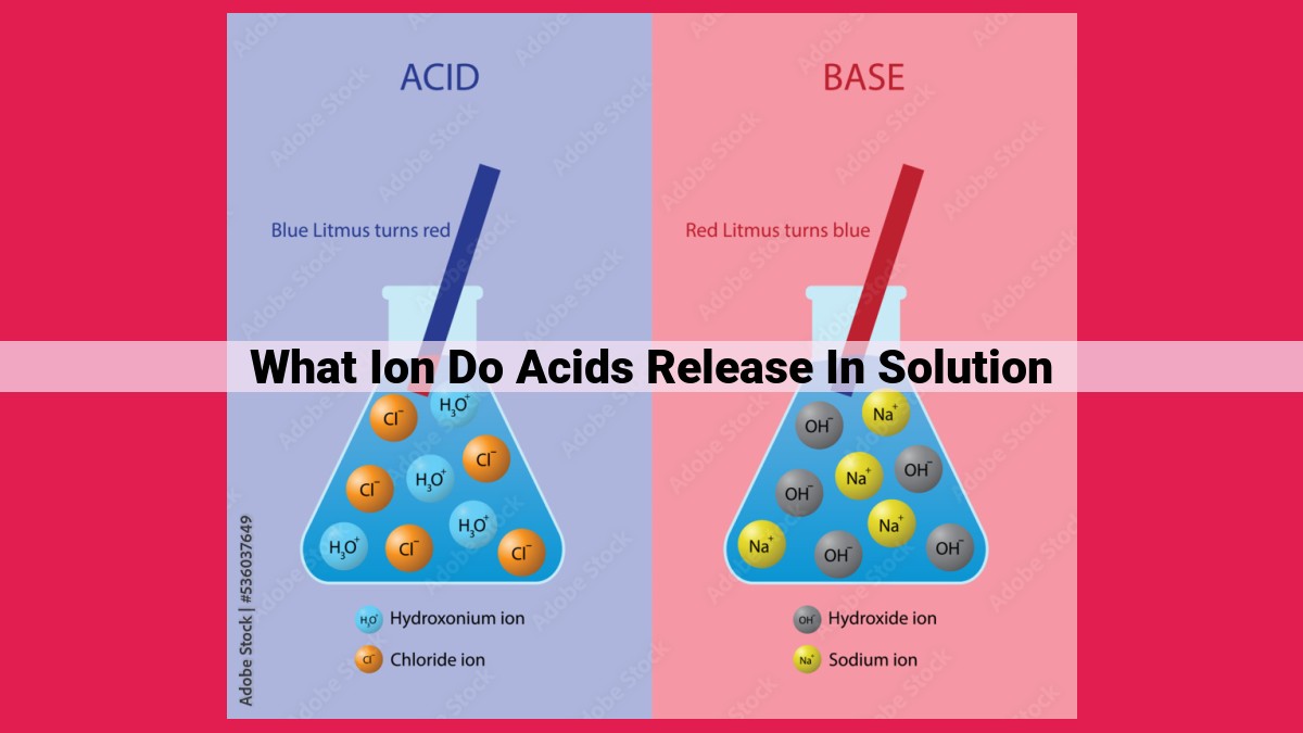 what ion do acids release in solution