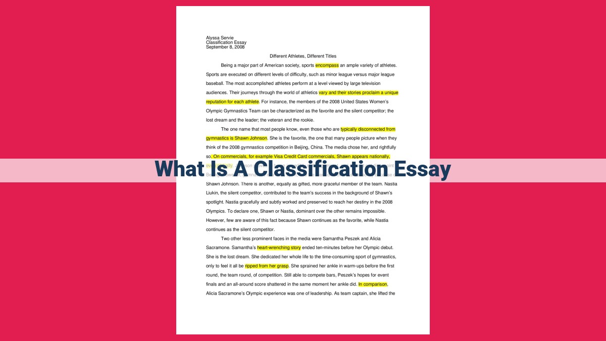 what is a classification essay