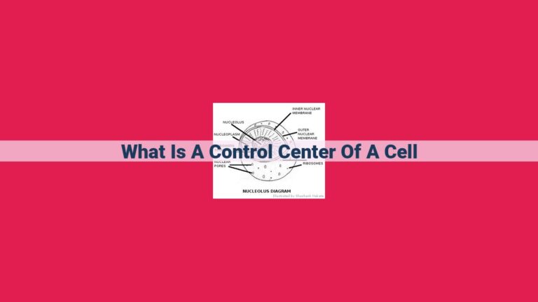 what is a control center of a cell