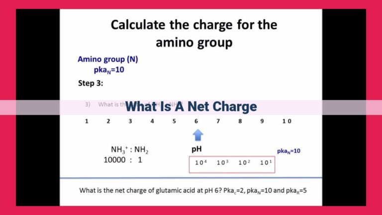 what is a net charge