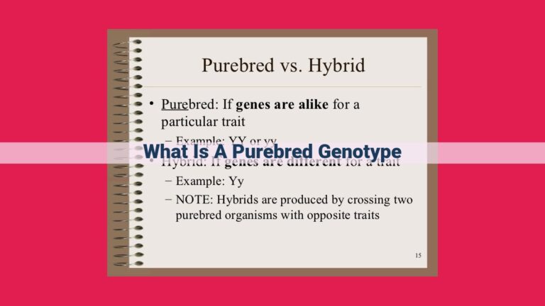 what is a purebred genotype