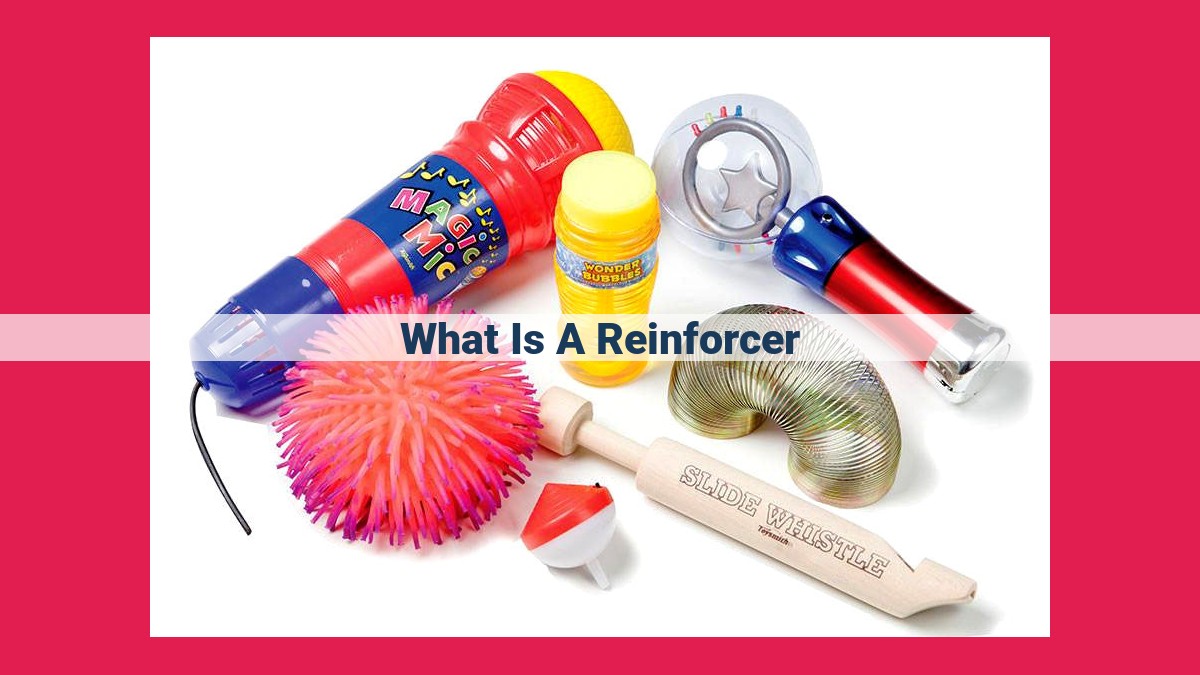 what is a reinforcer