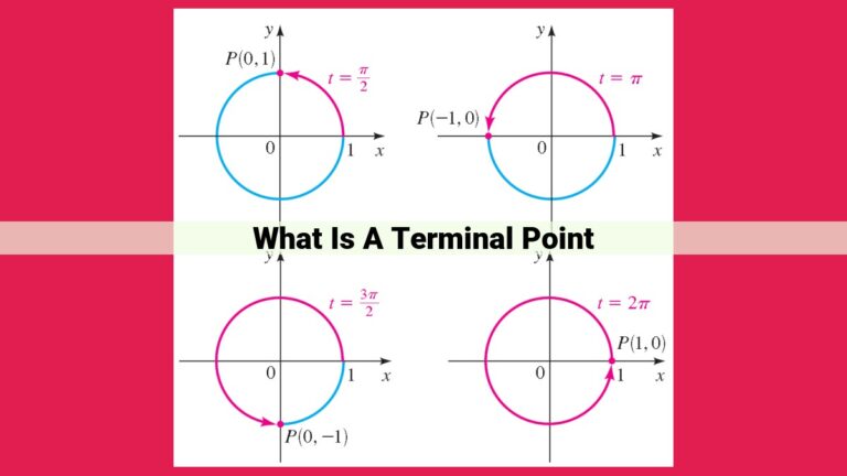 what is a terminal point