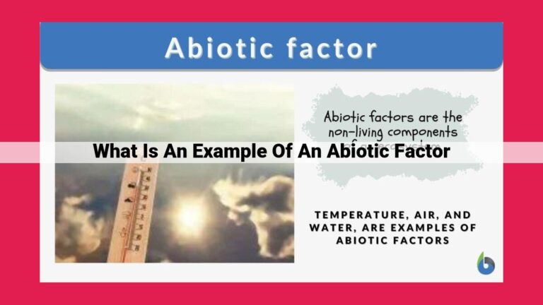 what is an example of an abiotic factor