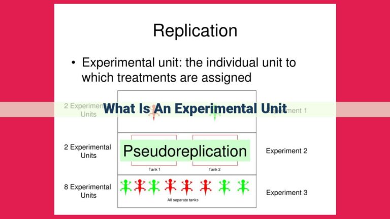 what is an experimental unit