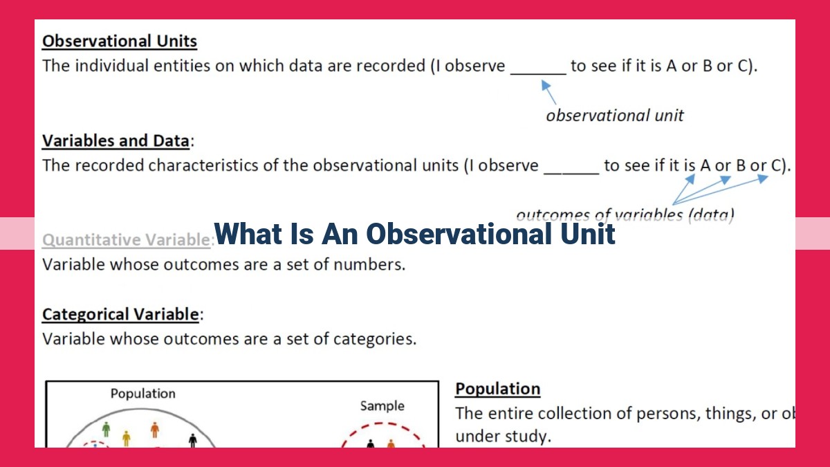 what is an observational unit