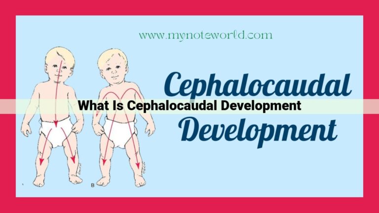 what is cephalocaudal development