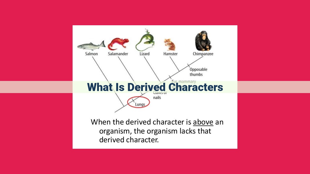 what is derived characters