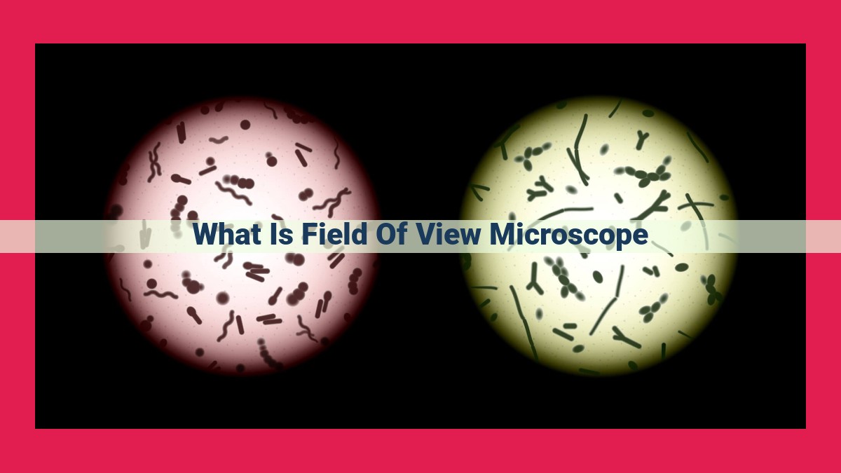 what is field of view microscope