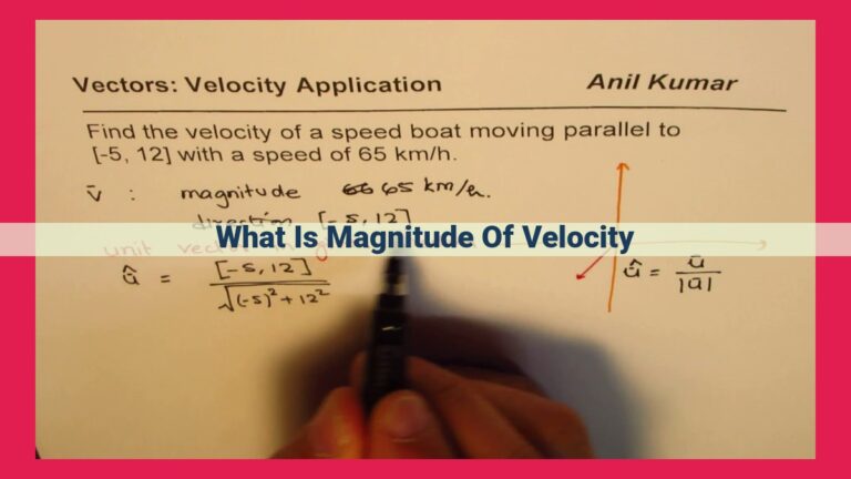 what is magnitude of velocity