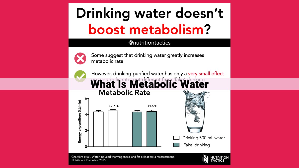 what is metabolic water