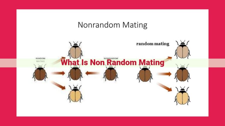 what is non random mating