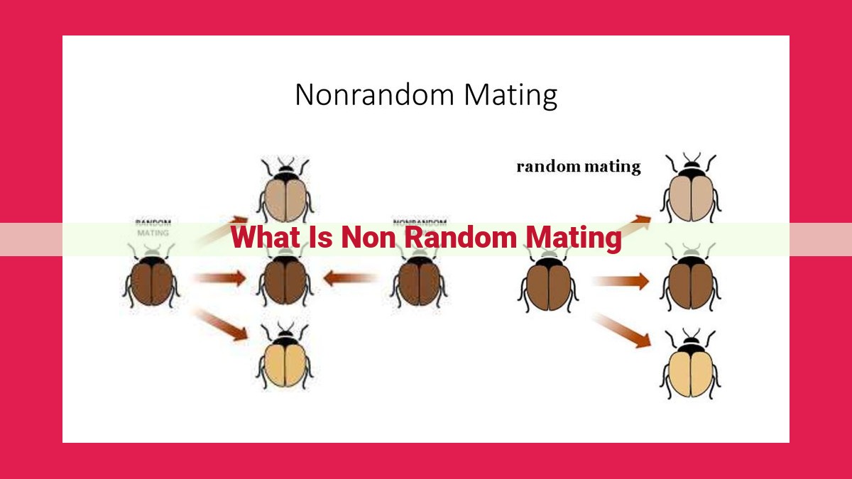 what is non random mating