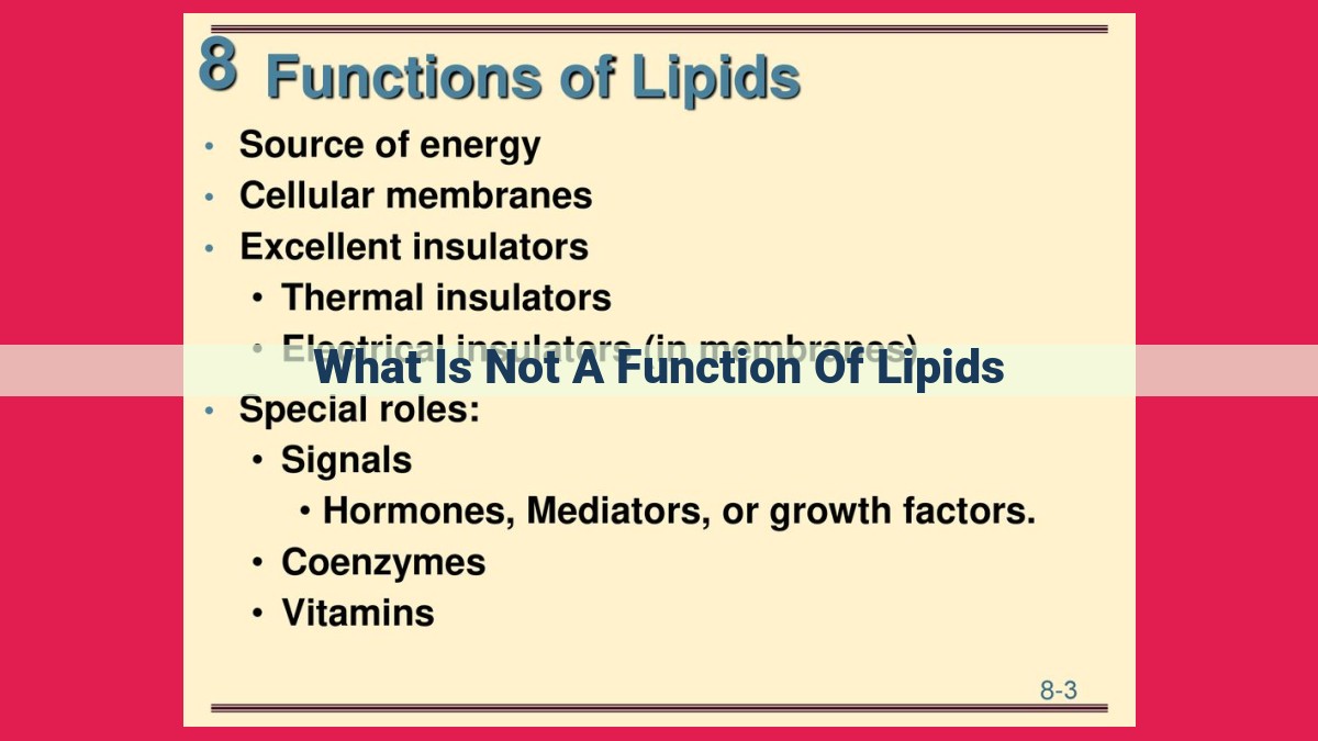 what is not a function of lipids