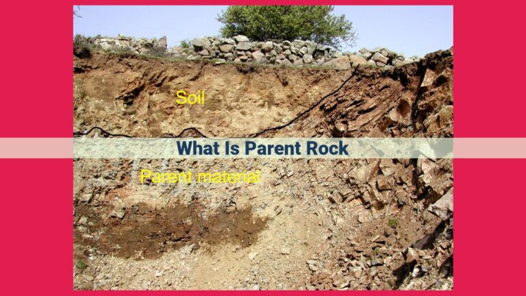 what is parent rock