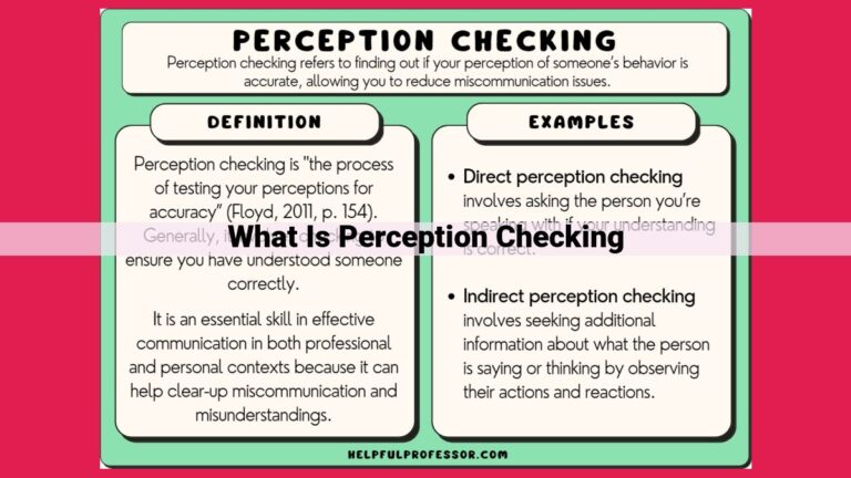 what is perception checking