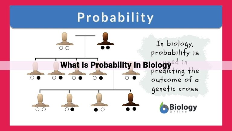 what is probability in biology