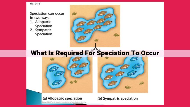 what is required for speciation to occur