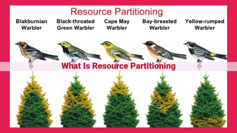 what is resource partitioning