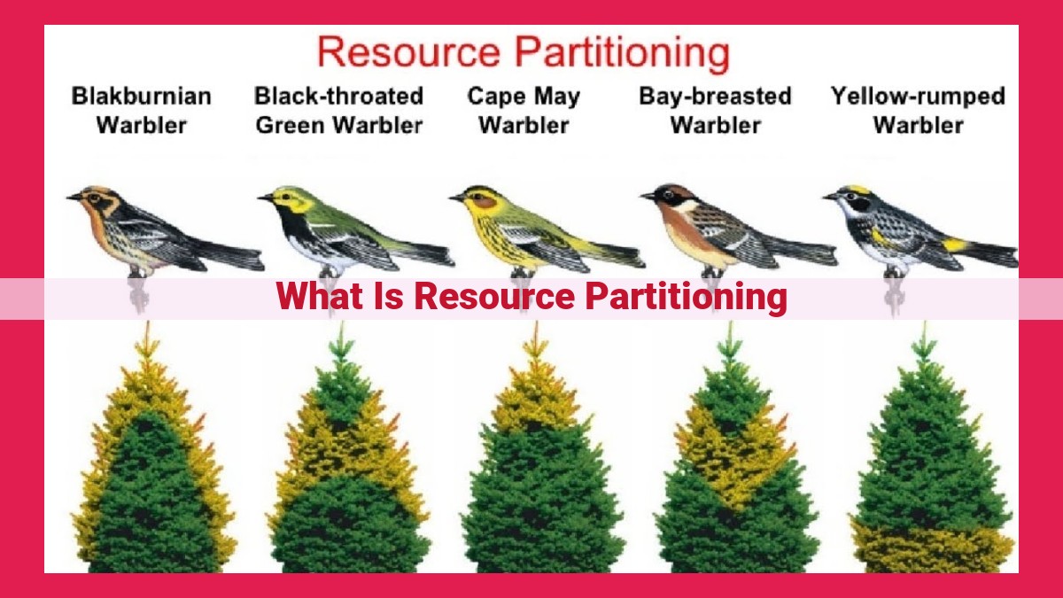 what is resource partitioning