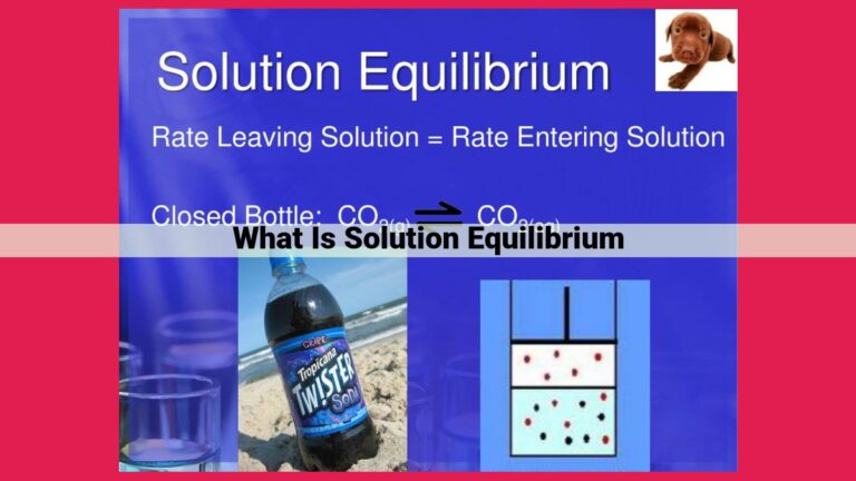 what is solution equilibrium