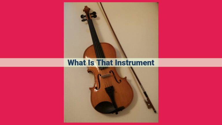 what is that instrument