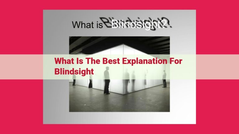 what is the best explanation for blindsight