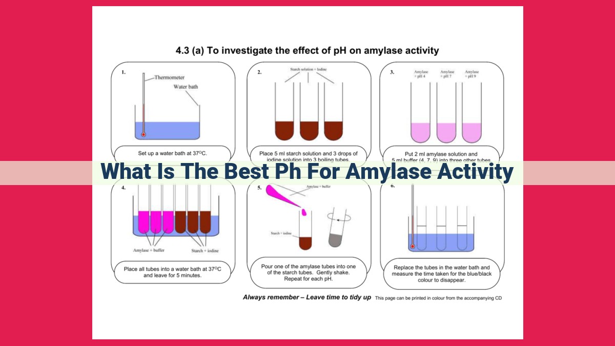 what is the best ph for amylase activity