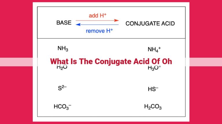 what is the conjugate acid of oh