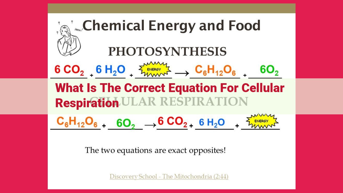 what is the correct equation for cellular respiration