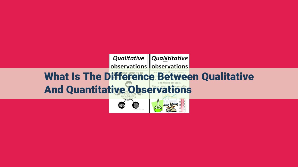 what is the difference between qualitative and quantitative observations