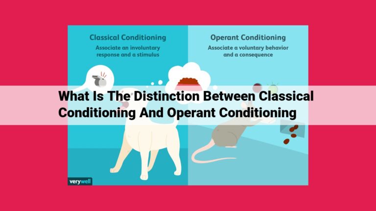 what is the distinction between classical conditioning and operant conditioning