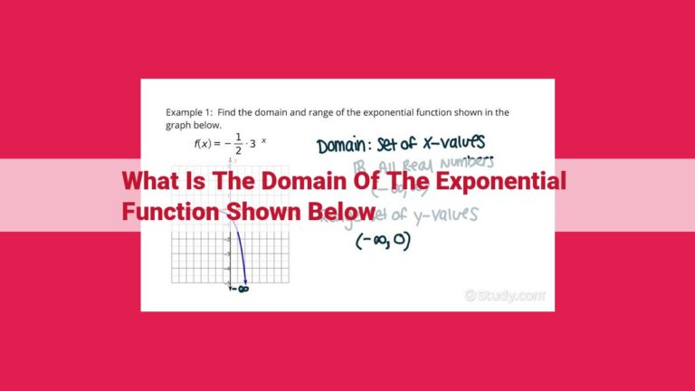 what is the domain of the exponential function shown below