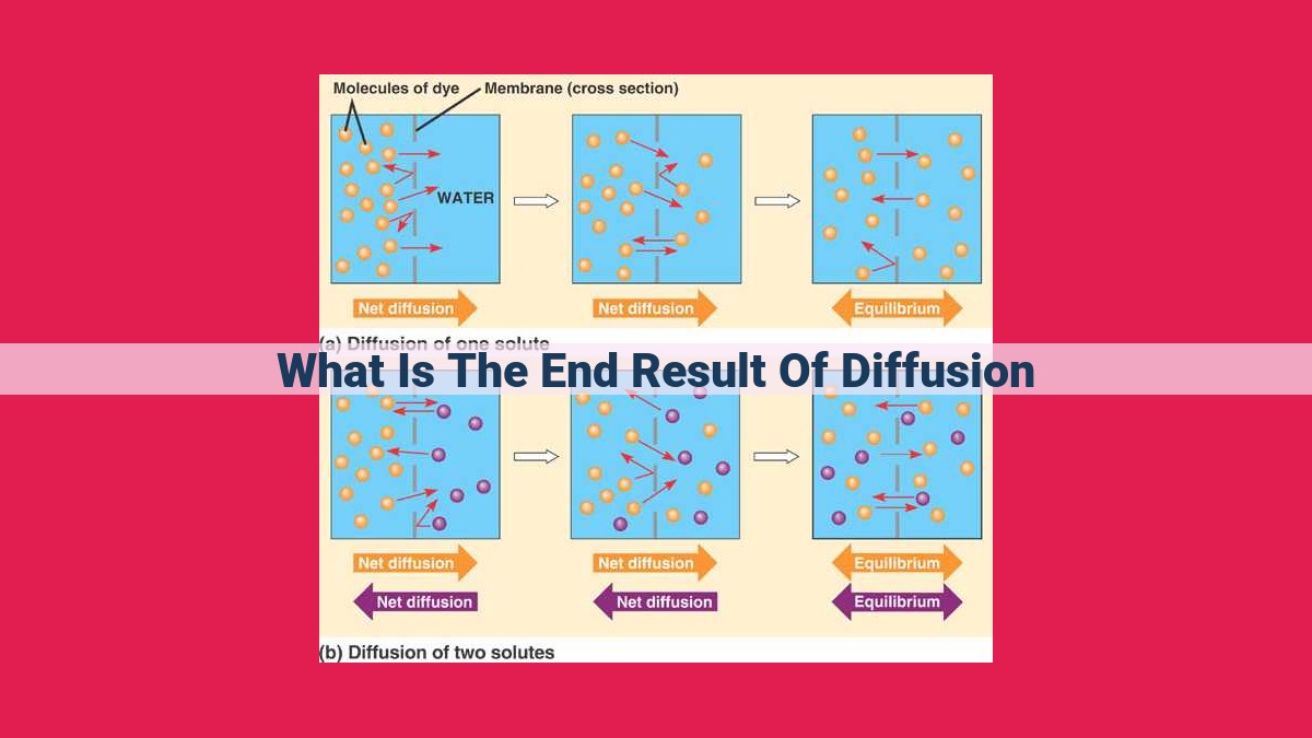 what is the end result of diffusion