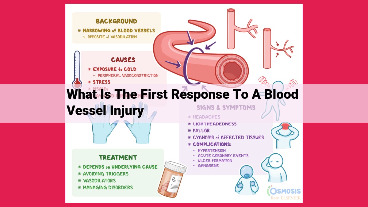 what is the first response to a blood vessel injury