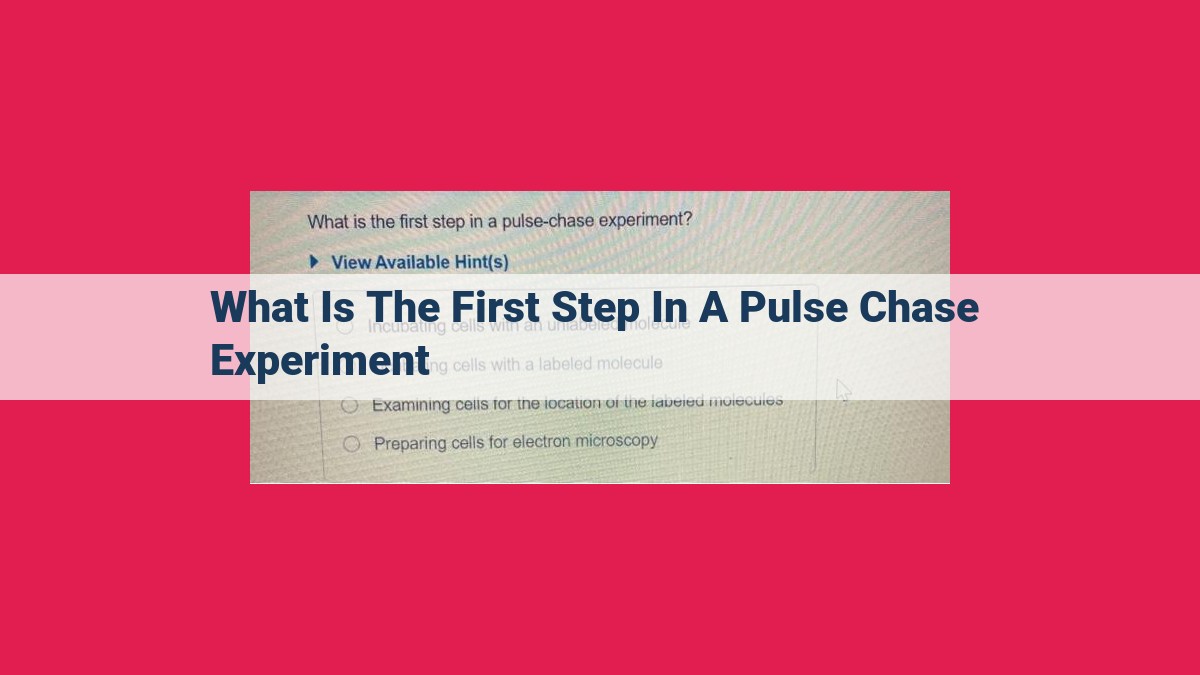 what is the first step in a pulse chase experiment