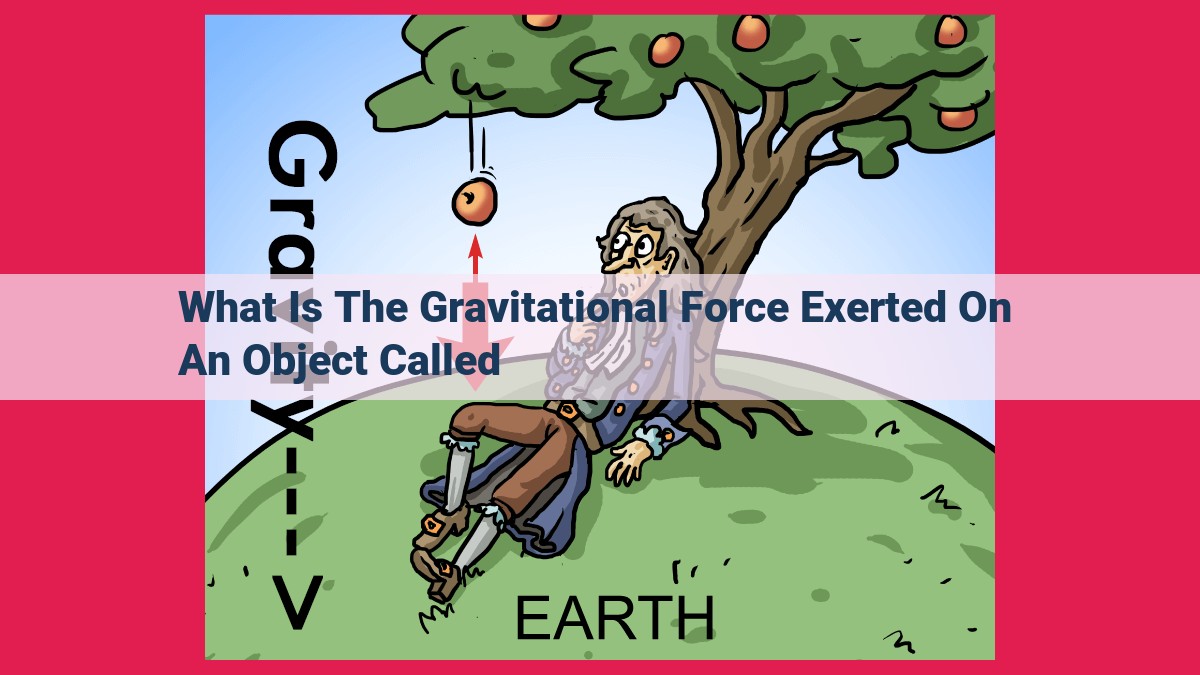 what is the gravitational force exerted on an object called