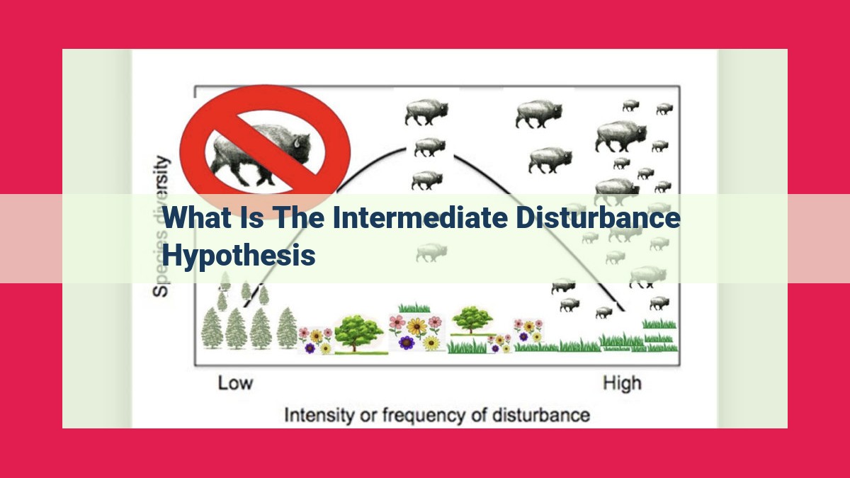 what is the intermediate disturbance hypothesis