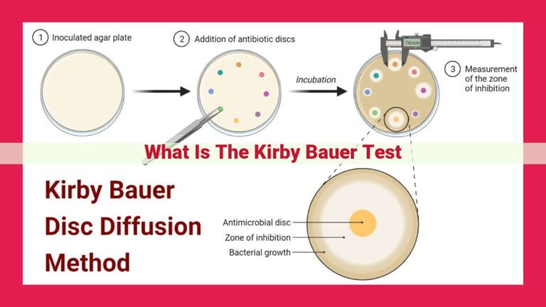 what is the kirby bauer test