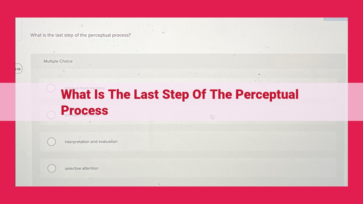 what is the last step of the perceptual process