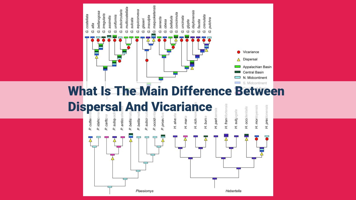 what is the main difference between dispersal and vicariance