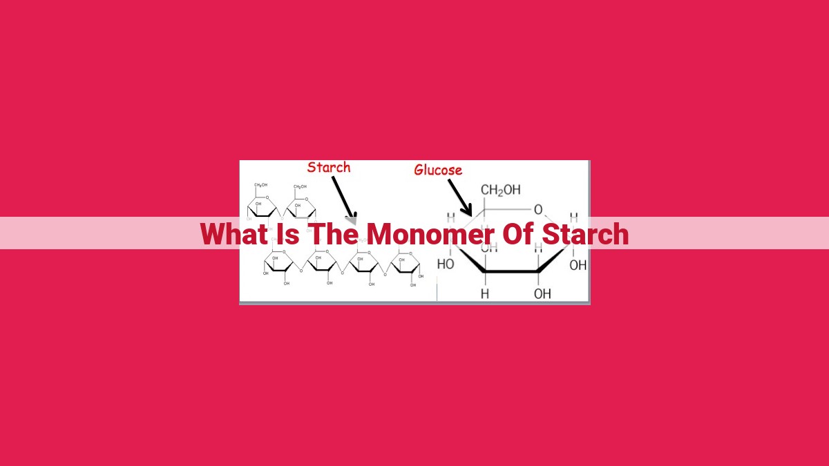 what is the monomer of starch