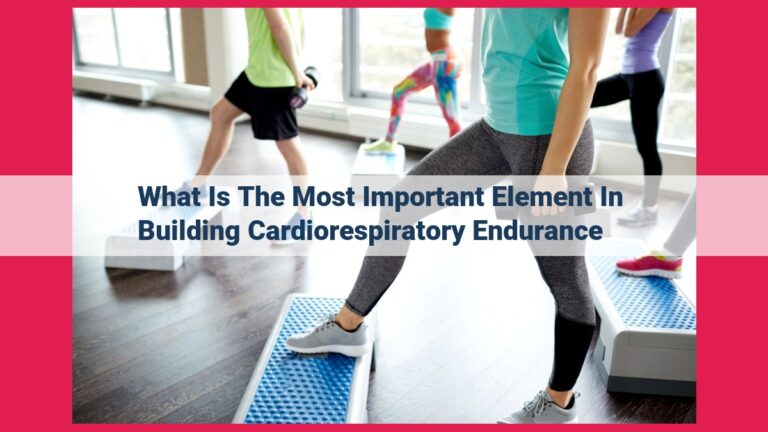 what is the most important element in building cardiorespiratory endurance