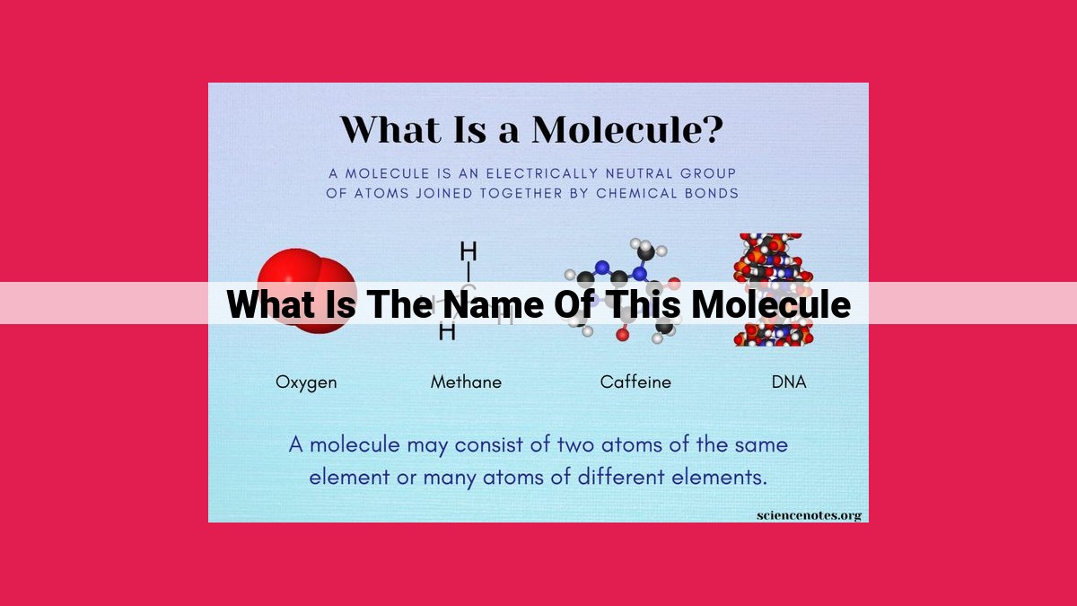 what is the name of this molecule