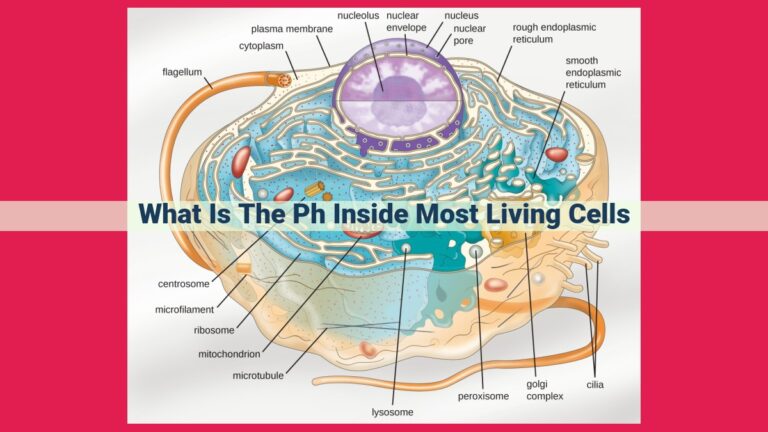 what is the ph inside most living cells