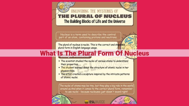 what is the plural form of nucleus