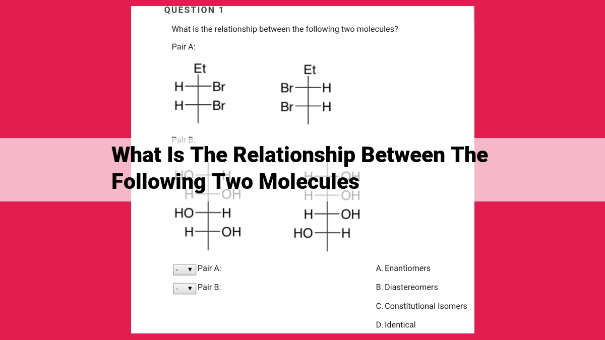 what is the relationship between the following two molecules