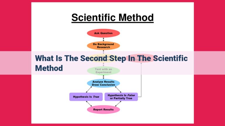 what is the second step in the scientific method