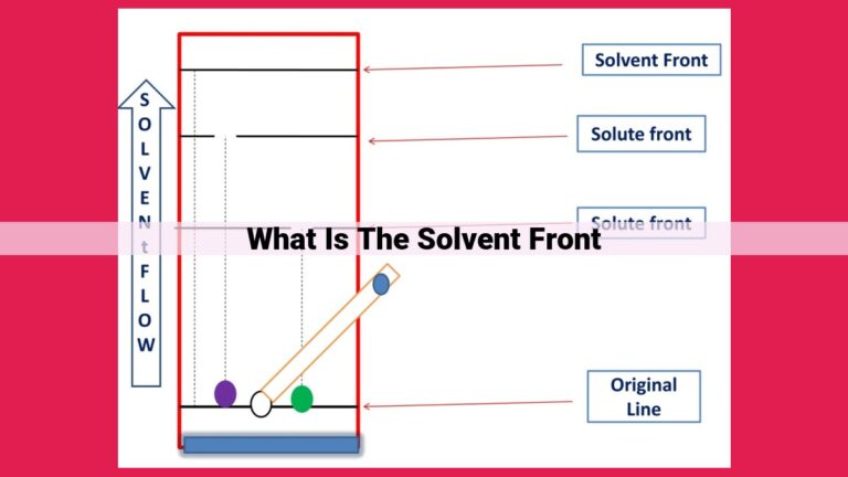 what is the solvent front